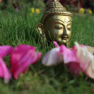 Philosophy and Movement Installment