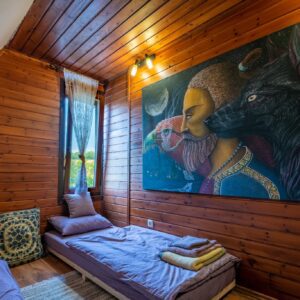 Twin room share