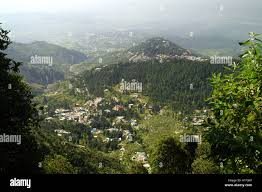 Dharamkot 3