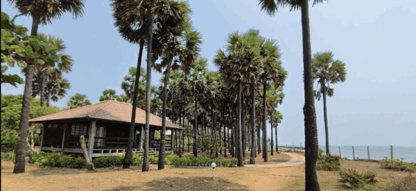 Tantra Immersion Retreat Auroville - Deposit